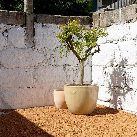 Uma Foyer 25 아파트 *